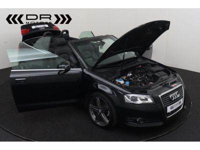 Audi A3 Cabriolet 16TDI - LEDER XENON   - 12