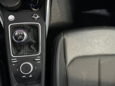 Audi Q2 BVM6 116 ch TFSI S Line Camera Clim Auto Apple Carplay   - 25