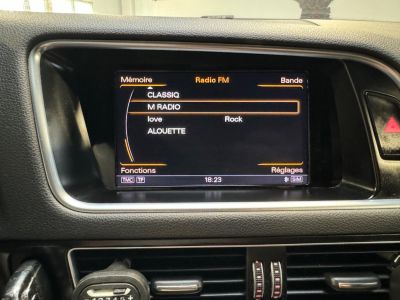 Audi SQ5 V6 30 BiTDI 326 Quattro Tiptronic 8   - 30